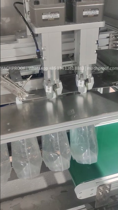 Laundry Detergent Pouch Filling Machine