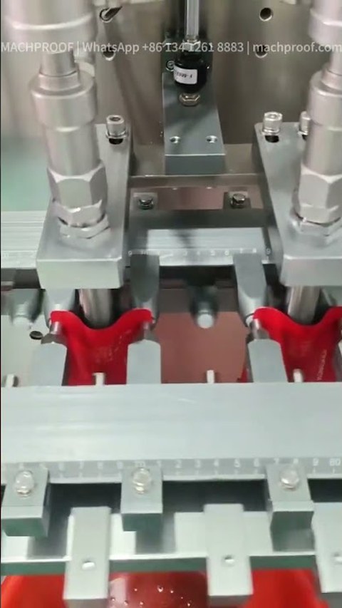Plain Stand-up Pouch Filling Machine