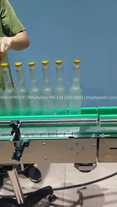 Glass Bottle Washing Machine